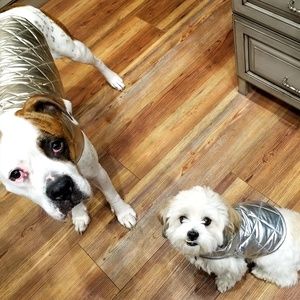 Meet your Posher, Jamie